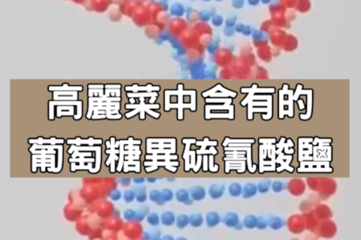 ★每天吃高麗菜就能遠離疾病！？讓人也想嘗試的驚人健康效果！★