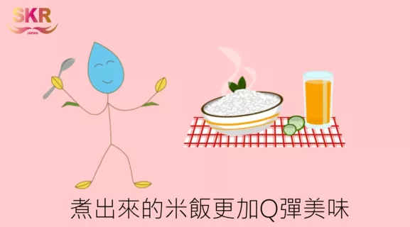 SKR SILICA 植物性硅素濃縮液 ~使用方法說明~