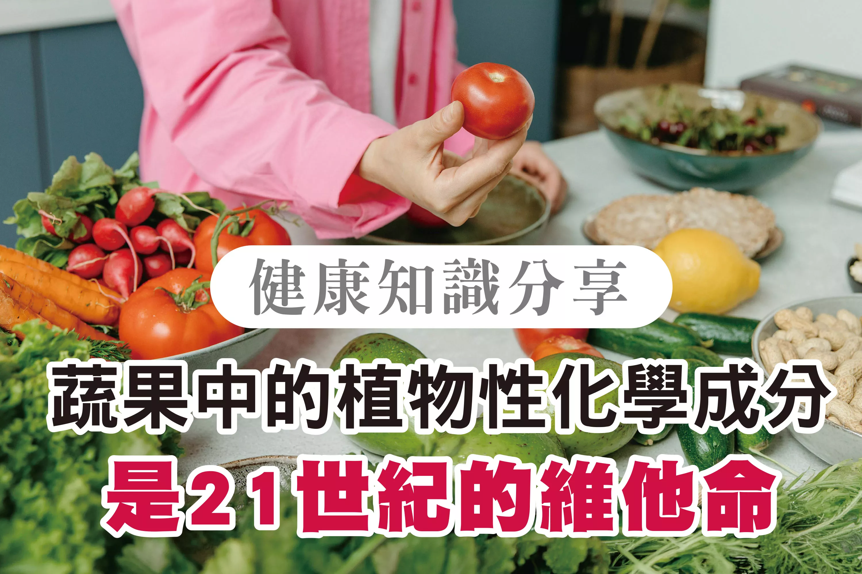 6月會員通知單